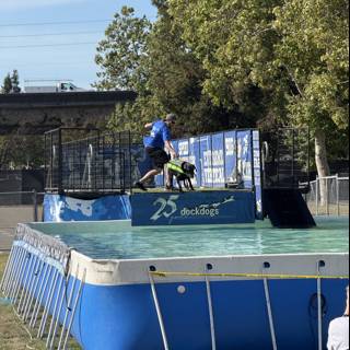**Leaping into Adventure**