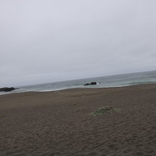 Overcast Coastal Beach with Rocky Shoreline