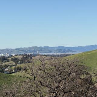 Serene Slopes of Lime Ridge