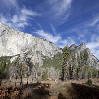 Serene Yosemite Valley: A Panoramic View from the Peak