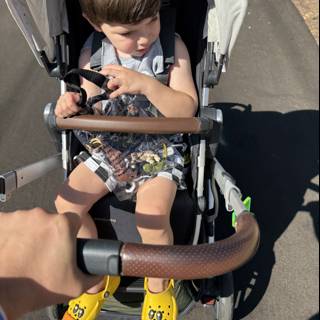 Stroll Through Walnut Creek