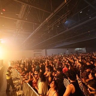 Massive Crowd Ignites at Wobbleland 2026 EDM Festival