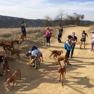 Group of People and Dogs in Santa Monica Mountains National Recreation Area