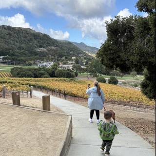 Autumn Stroll in Carmel