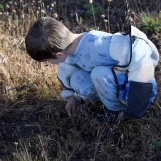 Young Explorer Discovers Nature at Mount Diablo