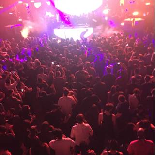 Electric Crowd at LA's Night Club Concert