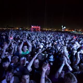 Coachella Crowd Goes Wild for Performances (Coachella 2011)