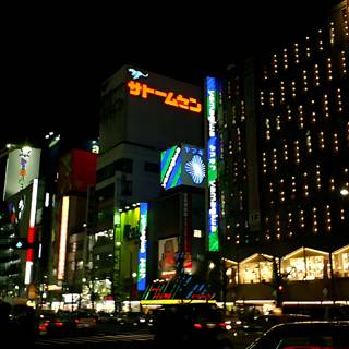 Neon Nights of Tokyo