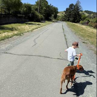Strolling Under the Californian Sun