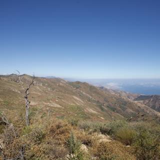 Majestic View of Wilderness from Gaviota Peak
