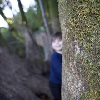 Hide and Seek in Thistlewyck