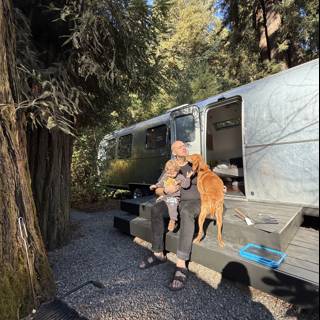 Tranquil Morning in the Redwood Retreat