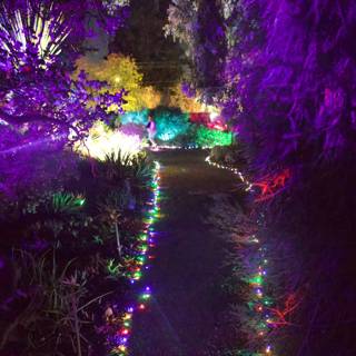 Enchanted Pathway Through the Garden of D'Lights
