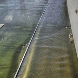 Algae-Infested Waterway