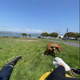 A Relaxing Day at San Francisco Maritime National Historical Park