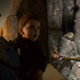 Discovering Nature's Marvels: A Day at the Monterey Bay Aquarium