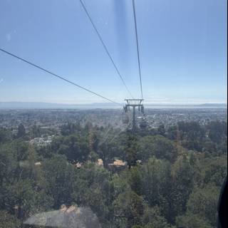 Skyward Journey Over Oakland's Green Wilderness