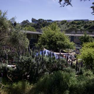 Communing with Nature: Earth Day at Alemany Farm