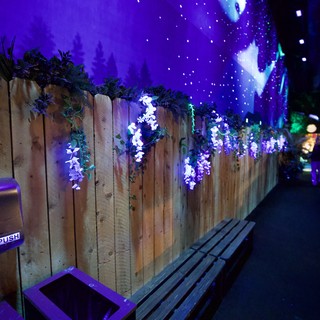 immersive-art-installation-or-themed-attraction