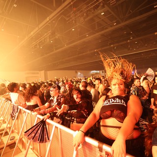 Electric Crowd Energy at Wobbleland Festival 2026
