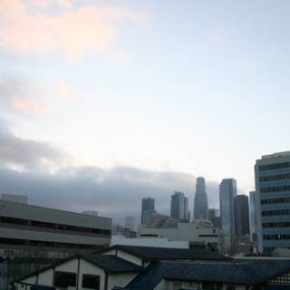 Metropolis View