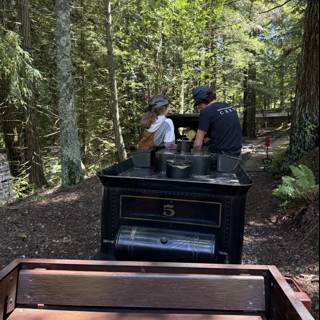 Journey Through the Woodland Rails