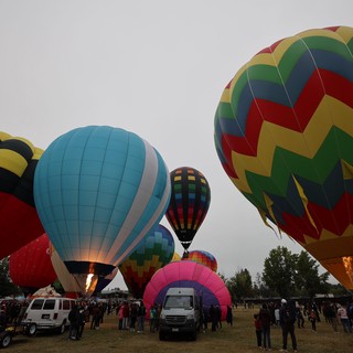 Colorful Hot Air Balloons Fill Morning Sky at Festival