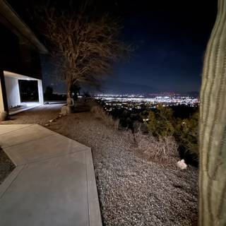 Desert Nightscape Serenity