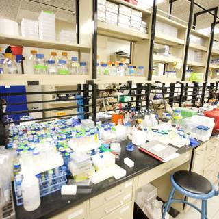 Inside a bustling biotech lab