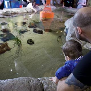 Discovering Aquatic Wonders: An Enthralling Day at the Aquarium of the Bay