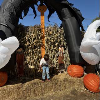 Pumpkin Patch Playtime