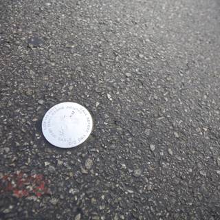 Lost Coin on Tarmac