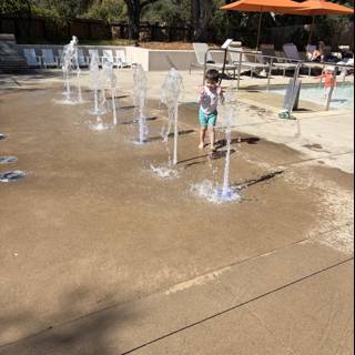 Joyful Splash in Carmel
