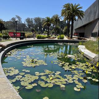Serene Landscape of a Water Lily Pond and Palm Trees