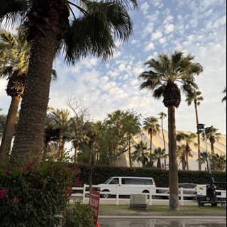 Serene Moments at Empire Polo Club