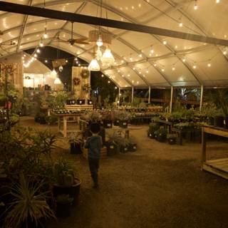Enchanting Nights in the Garden of D'Lights