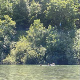 Floating Down the Russian River Caption: A group of people enjoy a leisurely ride down the Russian River on a sunny day, surrounded by lush vegetation, towering trees, and the peaceful sounds of nature.