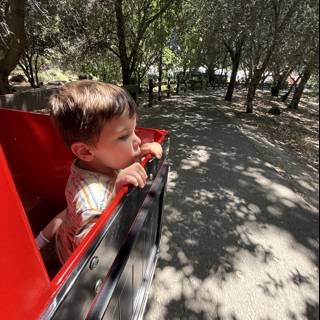 A Joyful Ride Through Nature