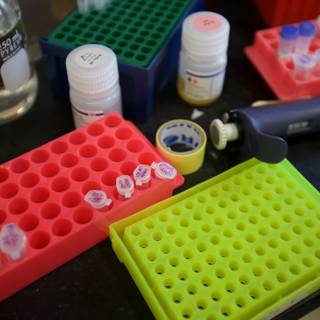 Laboratory Table with Assorted Test Tubes