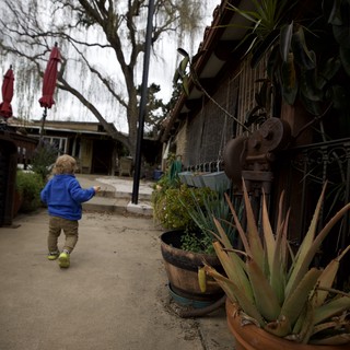 Child Exploring Rustic Courtyard Path with Succulents