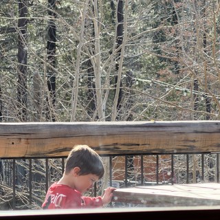 candid-portrait-through-glass