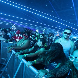 Electrifying Crowd Surges at Wobbleland 2026 Festival