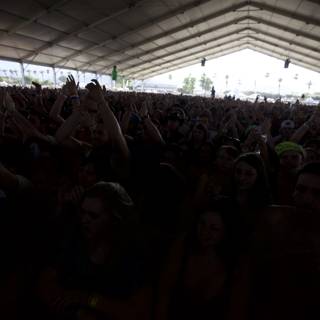 Coachella Crowd Euphoria