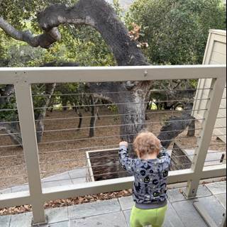 Curious Explorer in Carmel