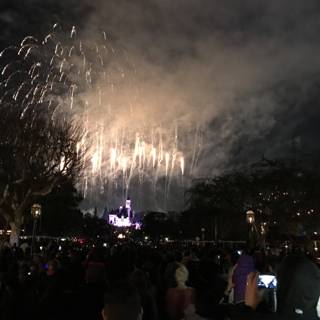 Disneyland Fireworks Spectacle