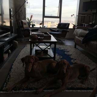 Canine Companions in the Living Room