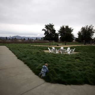 park or resort grounds