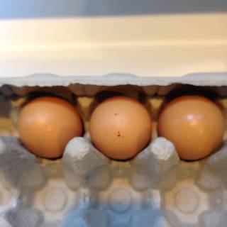 Trio of Eggs in a Brown Carton