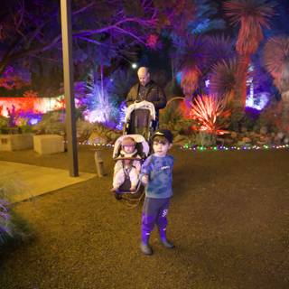 Enchanted Evening Stroll