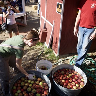 farm-life